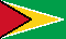 Guyana Flag